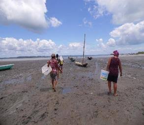 Marisqueiras caminhando pela maré baixa em Baiacu