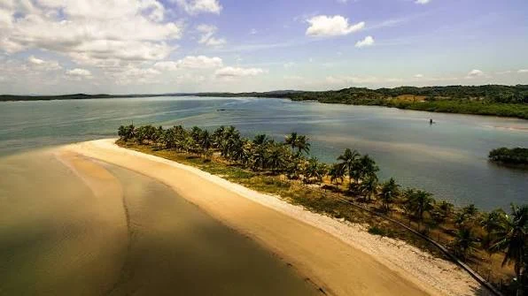 Faixa de areia entre águas calmas, coqueiros e manguezais em Cacha-Pregos