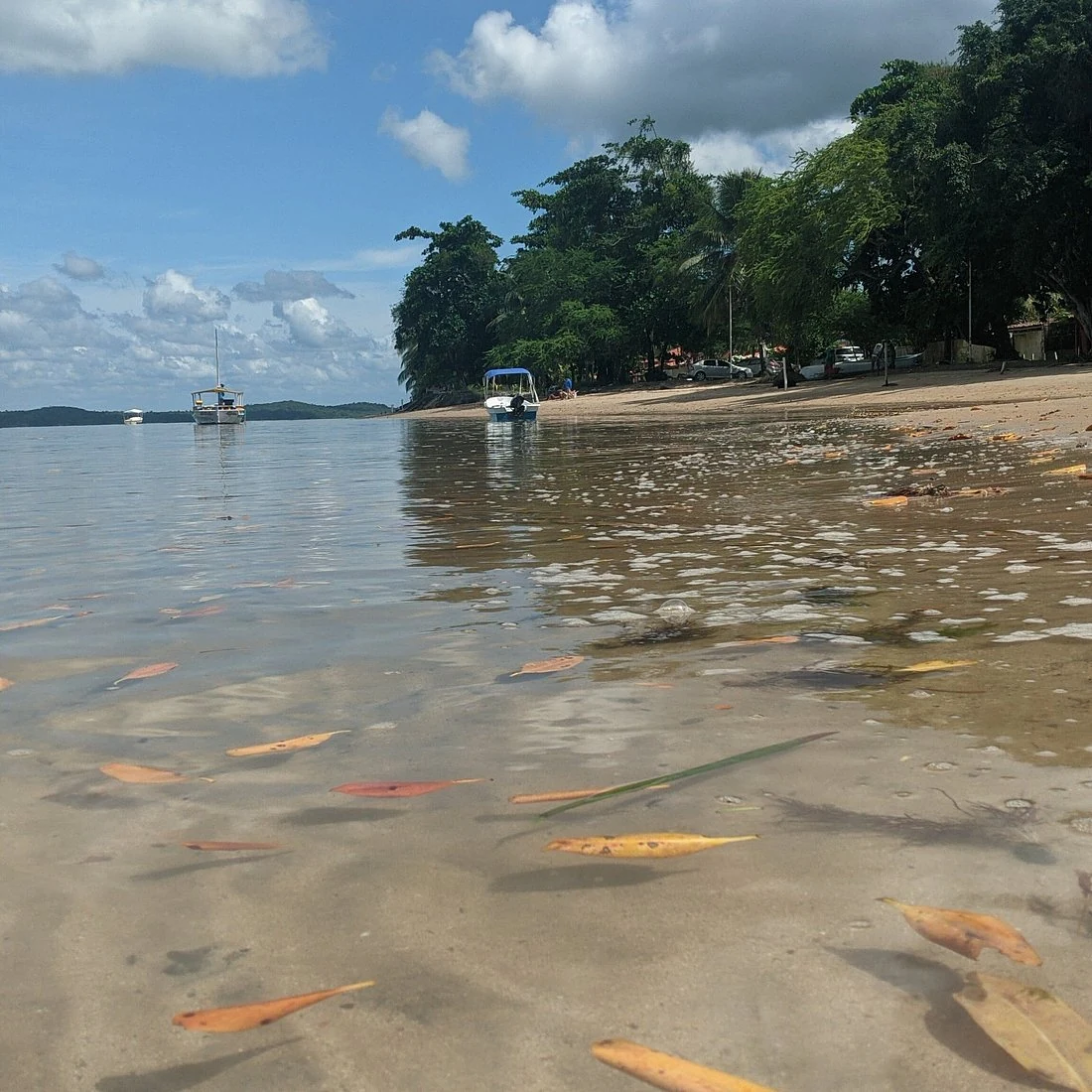 Águas rasas, praia arborizada e pequenas embarcações em Cacha-Pregos