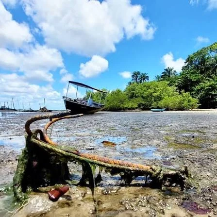 Barco na maré baixa em área de manguezal de Catu