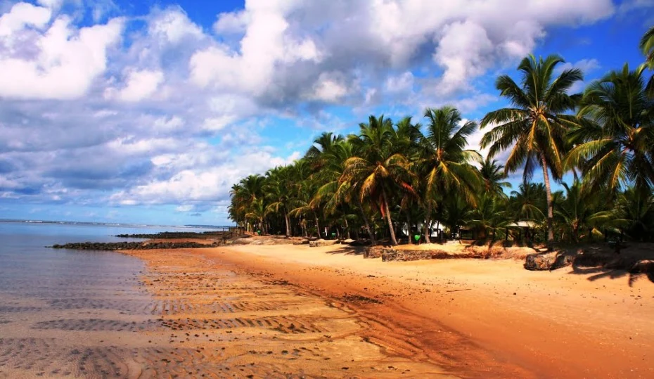 Praia de Conceição com coqueiros e faixa de areia