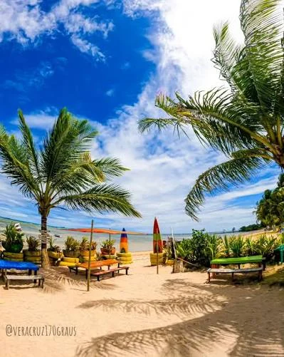 Área de praia com coqueiros e bancos em Conceição