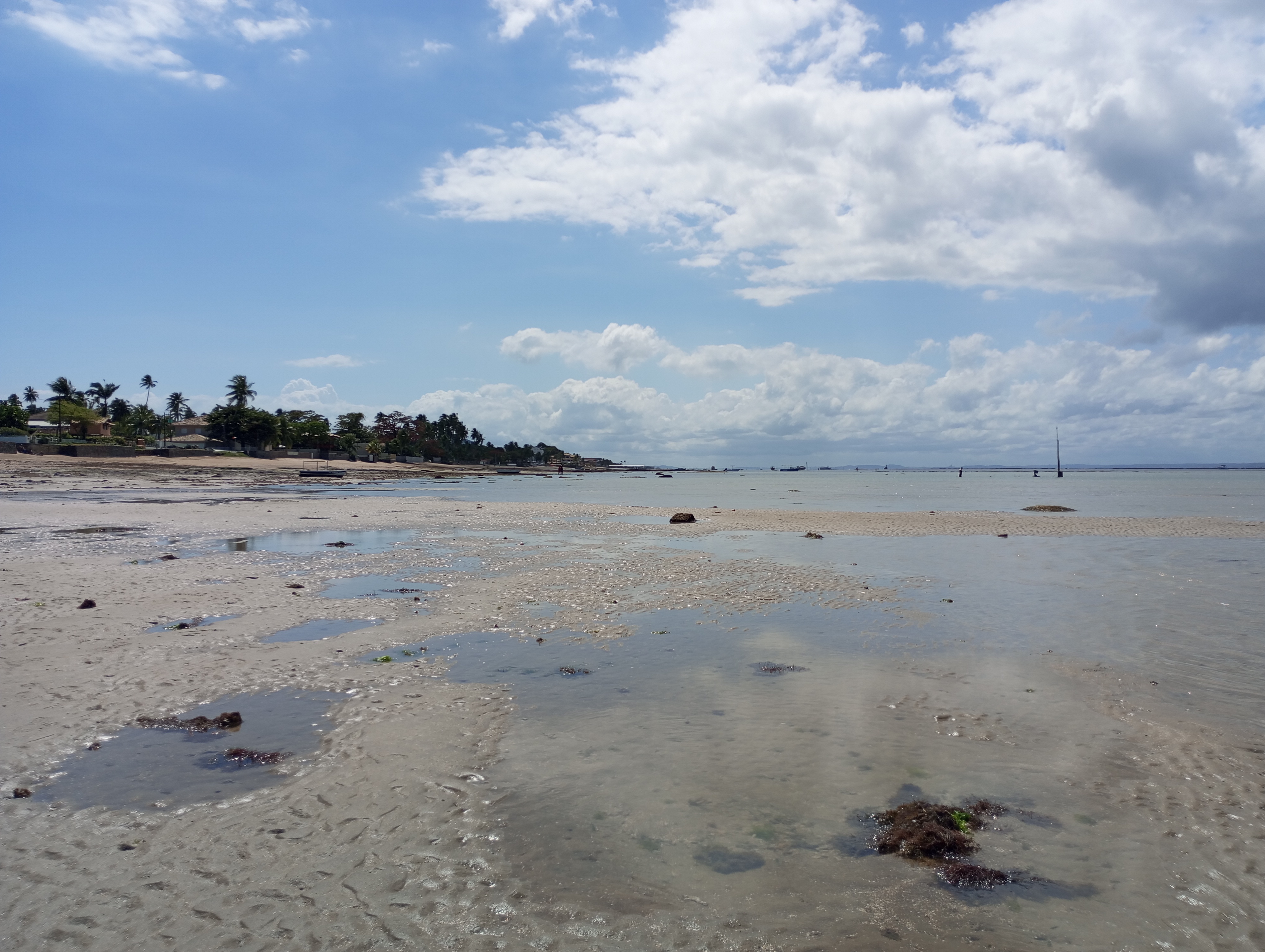 Vista aérea dos recifes e piscinas naturais da Gamboa
