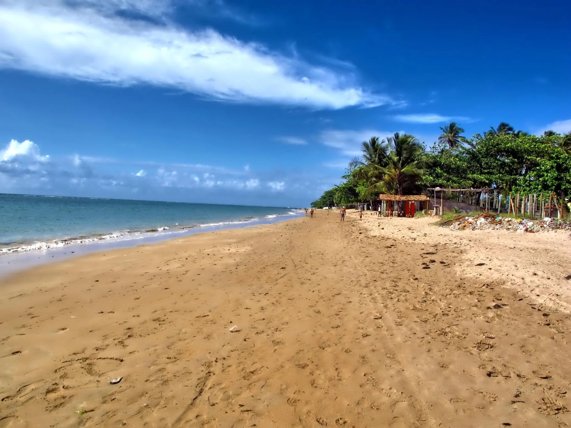Praia de Jiribatuba com areia, coqueiros e mar calmo