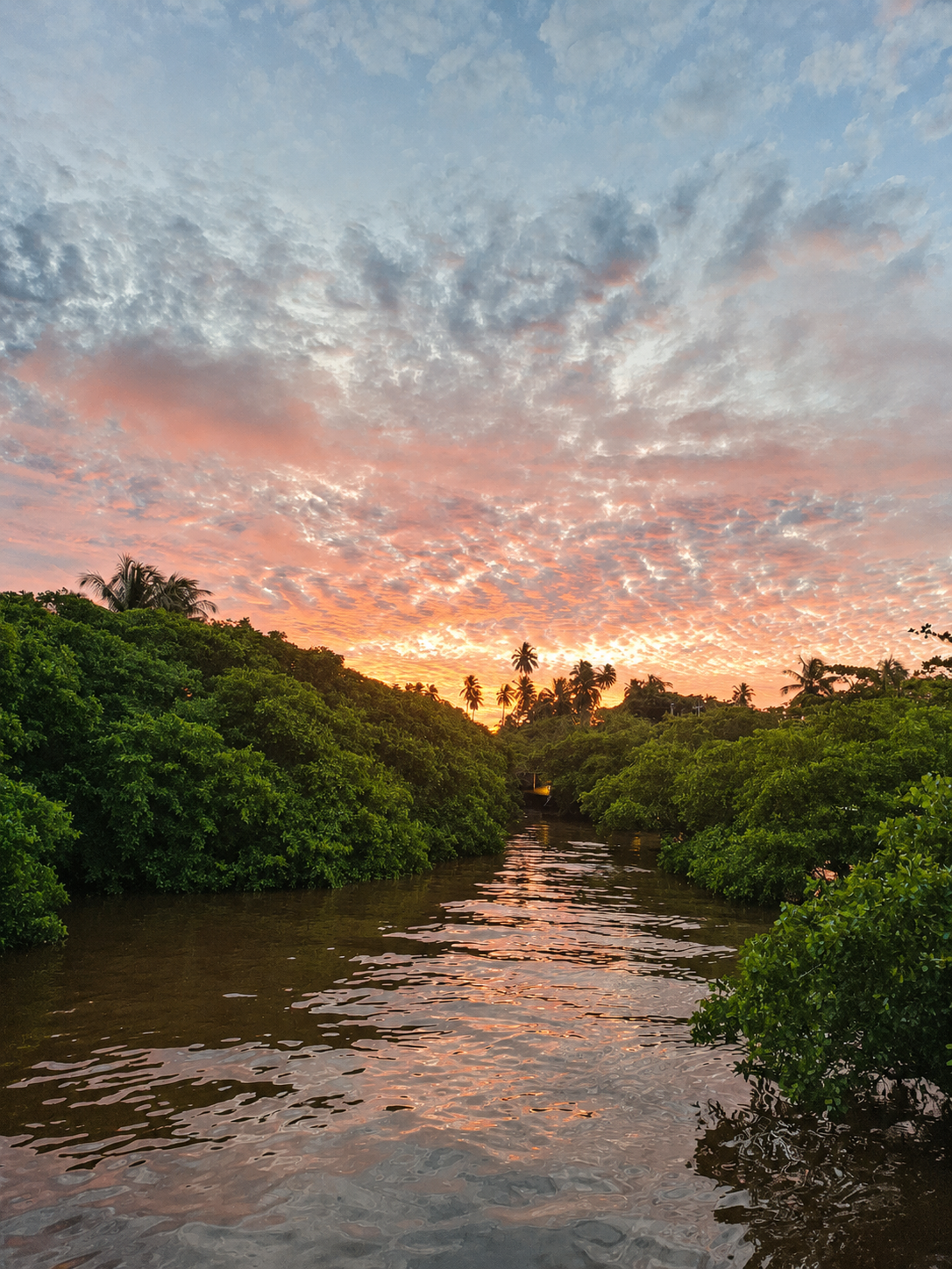 Rio da Penha ao entardecer, cercado por vegetação